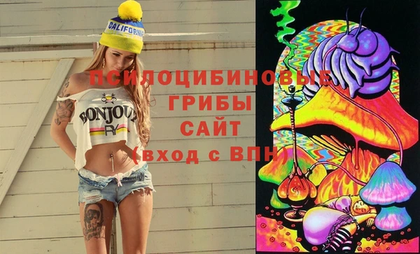 MDMA Premium VHQ Нязепетровск
