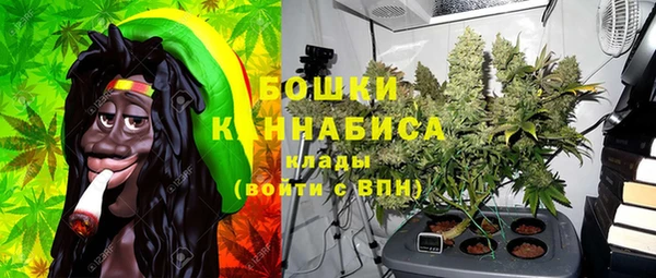 крисы Новодвинск