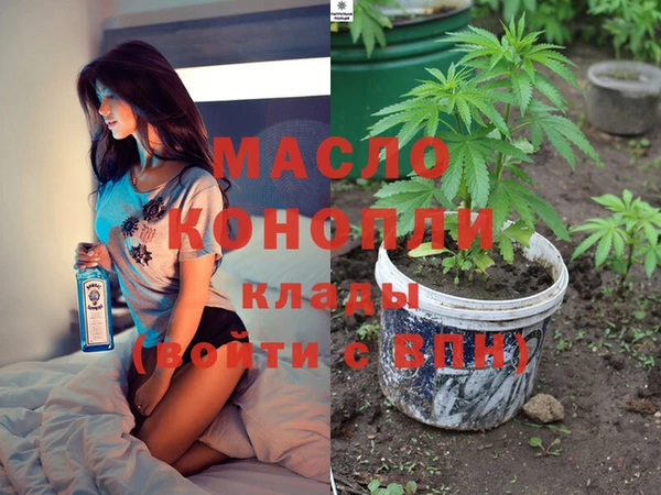 крисы Новодвинск
