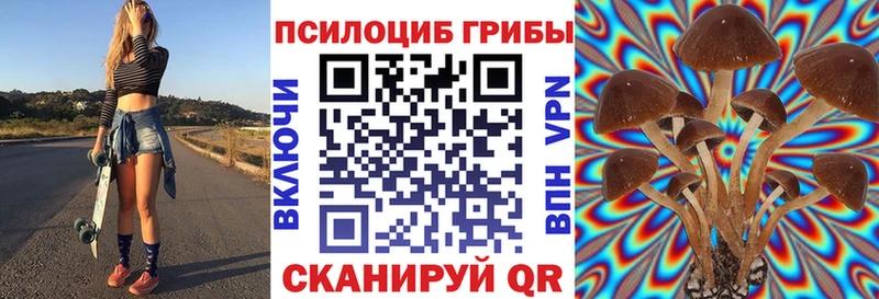 Псилоцибиновые грибы Cubensis  Купить где  Котельники 